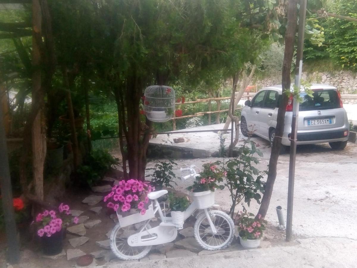Amaa Casa Bed & Breakfast Vico Equense Bagian luar foto